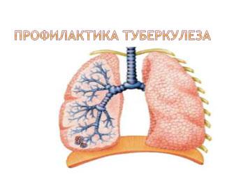 афиша профилактика